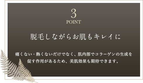 POINT3 脱毛しながらお肌もキレイに